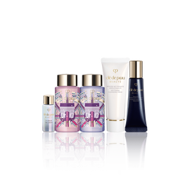 RADIANT MULTI REPAIR OIL MINI SET